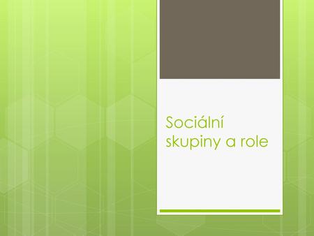 Sociální skupiny a role