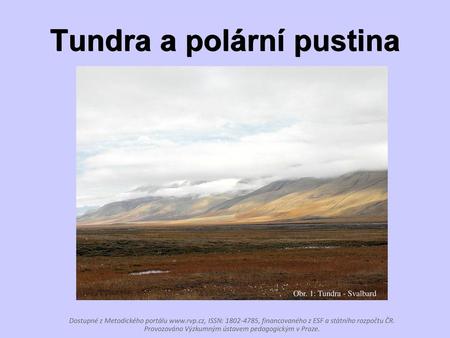 Tundra a polární pustina