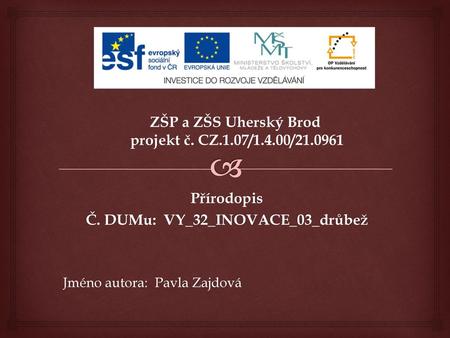 ZŠP a ZŠS Uherský Brod projekt č. CZ.1.07/1.4.00/