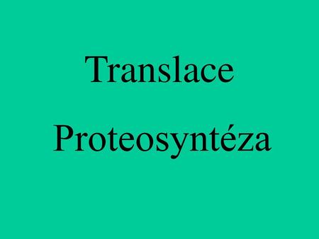 Translace Proteosyntéza.