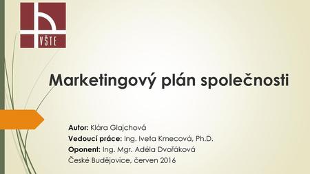 Marketingový plán společnosti
