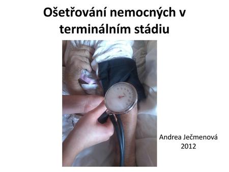 Ošetřování nemocných v terminálním stádiu