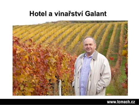 Hotel a vinařství Galant. Hotel Galant - Mikulov.