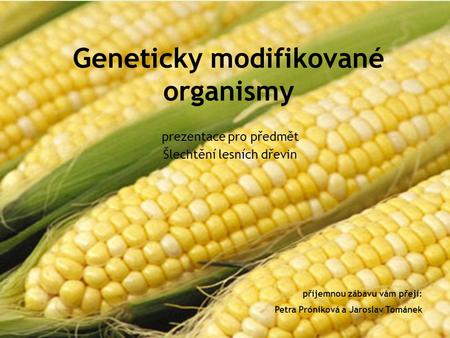 Geneticky modifikované organismy