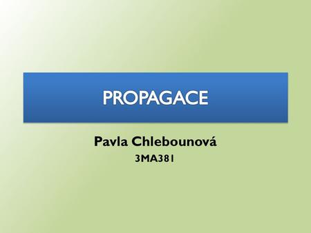 Pavla Chlebounová 3MA381. Webové stránky Internetový obchod Internetová reklama Tištěná propagace.