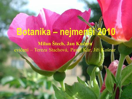 Botanika – nejmenší 2010 Milan Štech, Jan Kučera cvičení – Tereza Stachová, Pavel Kúr, Jiří Košnar.