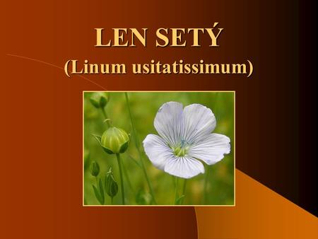 (Linum usitatissimum)