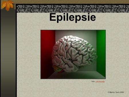 Epilepsie foto: csit.fsu.edu © Martin Šach 2006.
