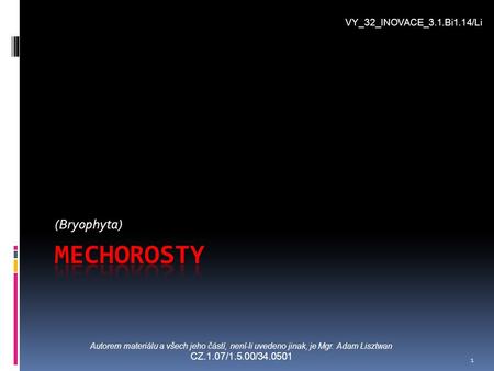 Mechorosty (Bryophyta) VY_32_INOVACE_3.1.Bi1.14/Li