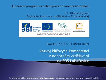 Rozvoj klíčových kompetencí v odborném vzdělávání na SOŠ Luhačovice