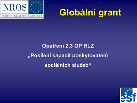Opatření 2.3 OP RLZ „Posílení kapacit poskytovatelů sociálních služeb“ Globální grant.