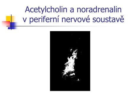 Acetylcholin a noradrenalin v periferní nervové soustavě