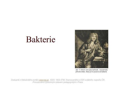 Bakterie obr. 1: Antoni van Leeuwenhoek, nizozemský přírodovědec, který první pozoroval bakterie Dostupné z Metodického portálu www.rvp.cz, ISSN: 1802-4785,