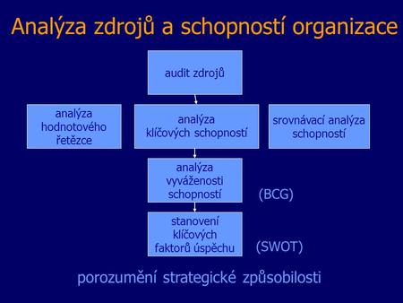 Analýza zdrojů a schopností organizace