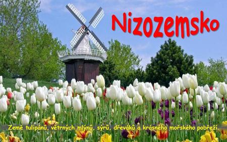 Nizozemsko Země tulipánů, větrných mlýnů, sýrů, dřeváků a krásného mořského pobřeží.