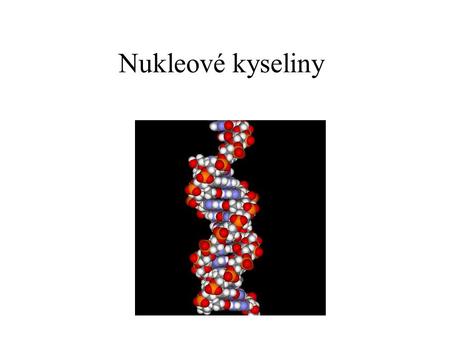 Nukleové kyseliny Nukleové kyseliny (NA) jsou makromolekulární látky a spolu s bílkovinami tvoří nejdůležitější látky v živé hmotě. Funkce: V molekulách.