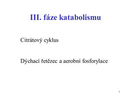 III. fáze katabolismu Citrátový cyklus