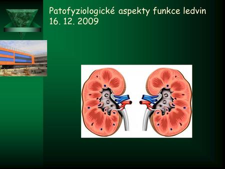 Patofyziologické aspekty funkce ledvin