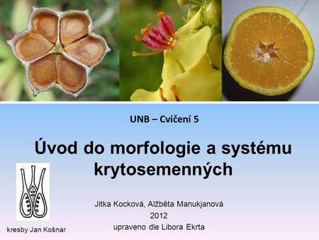 Úvod do morfologie a systému krytosemenných