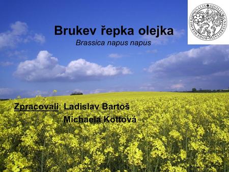 Brukev řepka olejka Brassica napus napus Zpracovali: Ladislav Bartoš