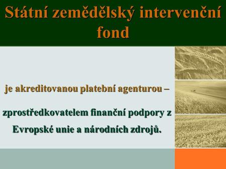 Státní zemědělský intervenční fond