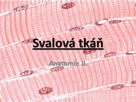 Svalová tkáň Anatomie II..