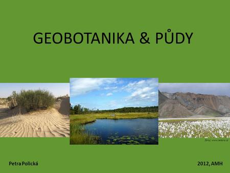 GEOBOTANIKA & PŮDY Zdroj: www.botany.cz Petra Polická.
