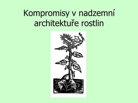 Kompromisy v nadzemní architektuře rostlin. h sn sla Westoby et al. 2002 Ann Rev Syst.