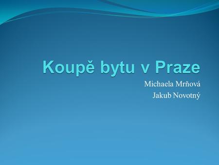 Michaela Mrňová Jakub Novotný