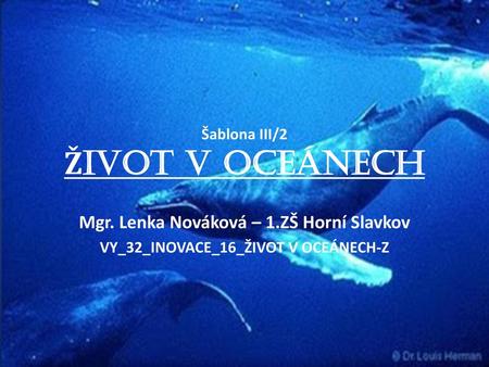 Šablona III/2 Život v oceánech