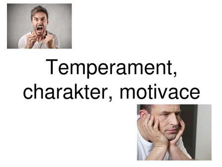 Temperament, charakter, motivace