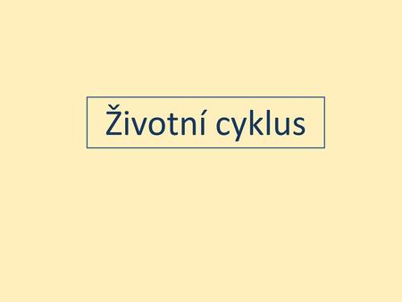 Životní cyklus.