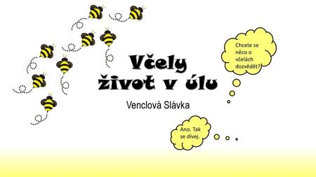 Včely život v úlu Venclová Slávka Chcete se něco o včelách dozvědět?