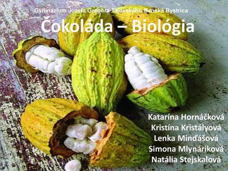 Čokoláda – Biológia Katarína Hornáčková Kristína Kristályová