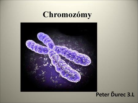 Chromozómy Peter Ďurec 3.L.