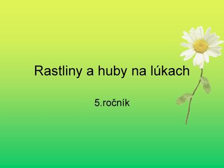 Rastliny a huby na lúkach