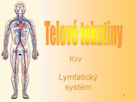 Telové tekutiny Krv Lymfatický systém.