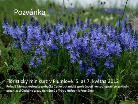 Pozvánka Floristický minikurz v Plumlově 5. až 7. května 2012 Pořádá Moravskoslezská pobočka České botanické společnosti ve spolupráci se základní organizací.