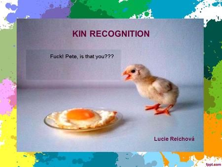 KIN RECOGNITION Lucie Reichová.
