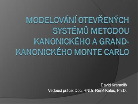 David Kramoliš Vedoucí práce: Doc. RNDr. René Kalus, Ph.D.