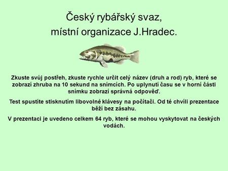 Český rybářský svaz, místní organizace J.Hradec.