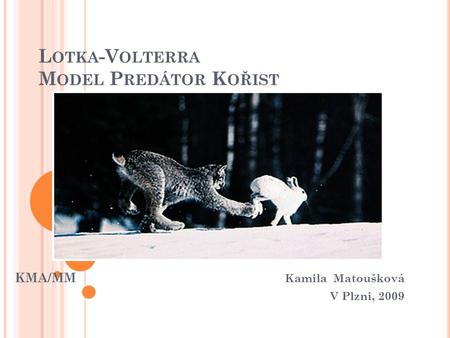 L OTKA -V OLTERRA M ODEL P REDÁTOR K OŘIST KMA/MM Kamila Matoušková V Plzni, 2009.