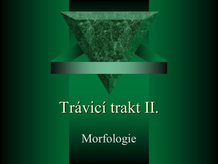 Trávicí trakt II. Morfologie