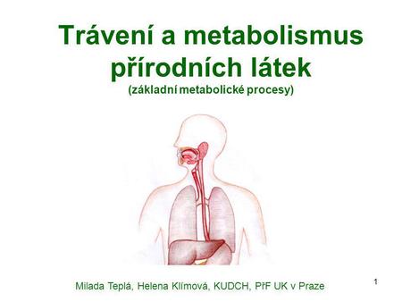 Trávení a metabolismus přírodních látek (základní metabolické procesy)
