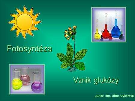 Fotosyntéza Vznik glukózy Autor: Ing. Jiřina Ovčarová.