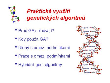 Praktické využití genetických algoritmů