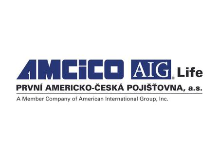 Životní pojištění AMCICO AIG Life 2008