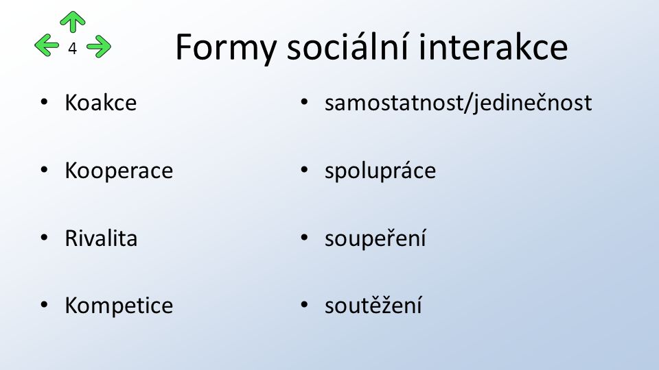 Formy sociální interakce
