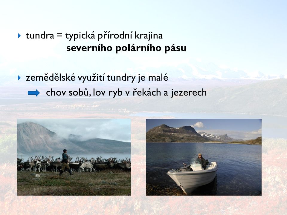 tundra = typická přírodní krajina severního polárního pásu