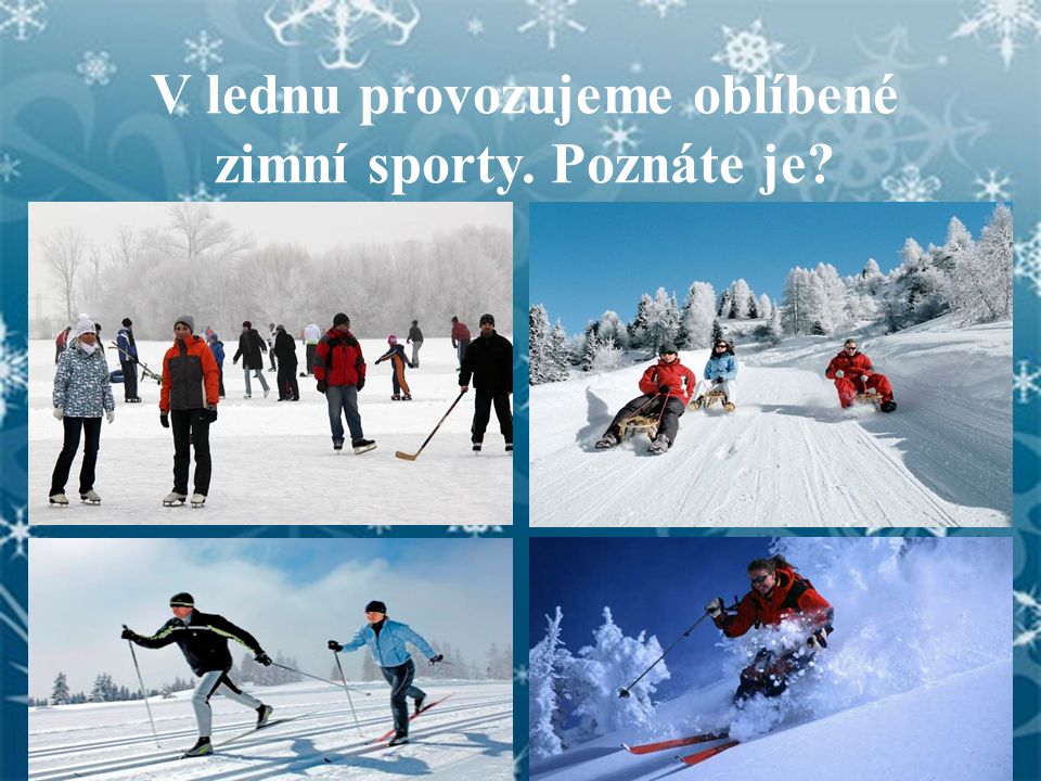 V lednu provozujeme oblíbené zimní sporty. Poznáte je